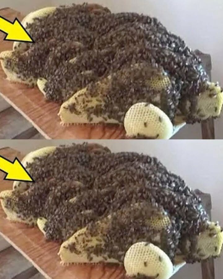 The Thing Beneath: What We Found Under the Bed Still Haunts Us