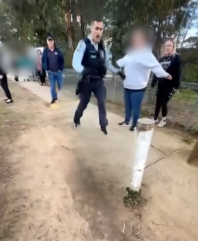 NSW School Incident: Woman Arrested Following Dramatic Confrontation with Police