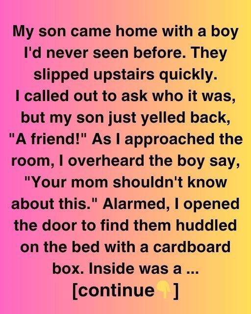 The Box In My Son’s Room