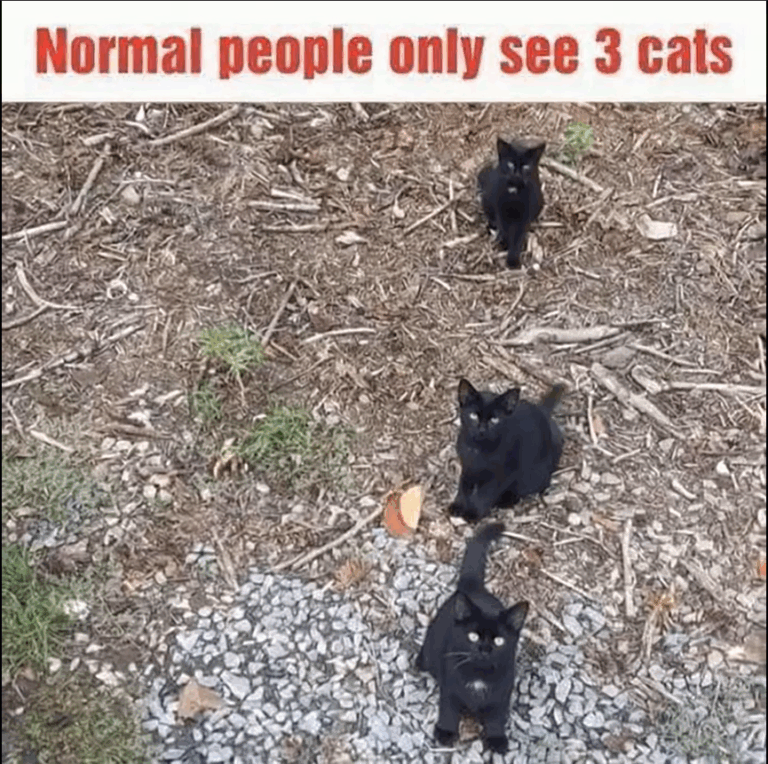 For Anyone Who Hasn’t Seen This Yet…