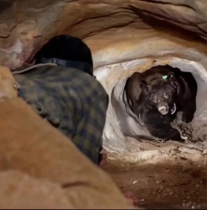 Nature has a way of reminding even the most seasoned adventurers who’s really in charge.