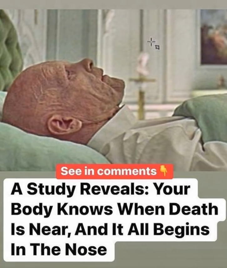 Psychology of Scent: What Research Reveals About Human Behavior