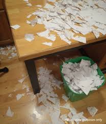 My Sister Shredded My 200 Wedding Invitations — I Thought She Was Jealous, But the Truth Left Me Speechless…
