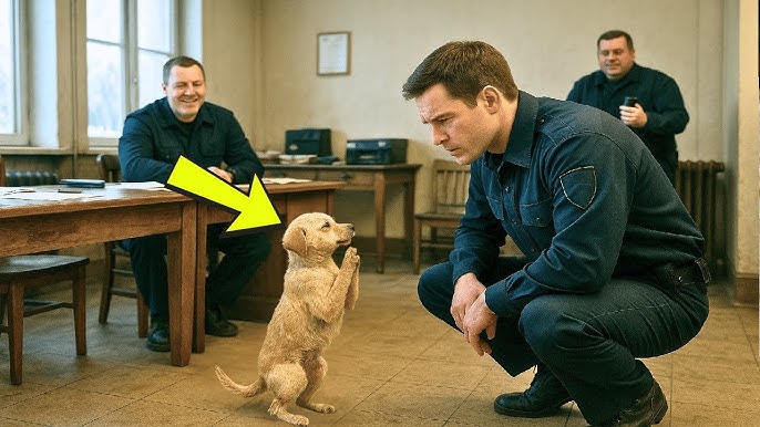 A lost puppy wandered into a police station seeking help — what the officers found left them speechless.